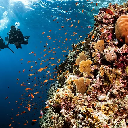 아파트 Aenaon Corfu Luxury #06 - Poseidon *